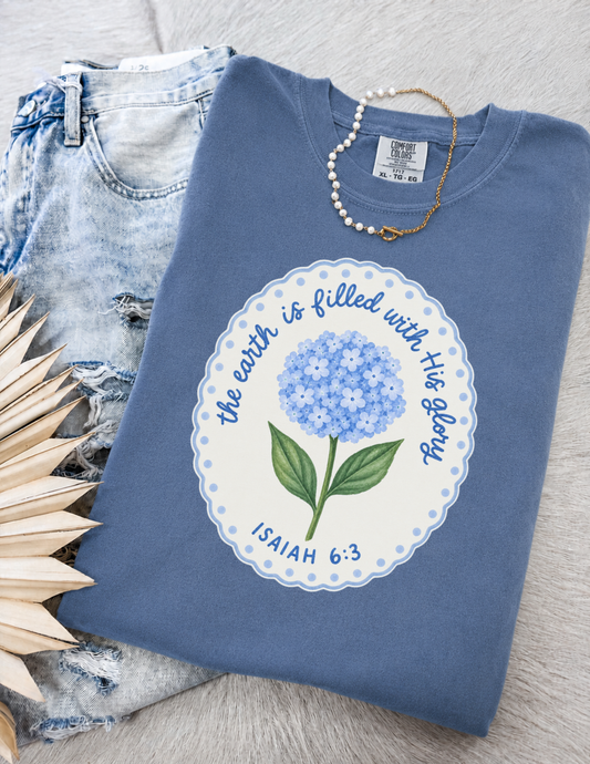 His Glory Tee